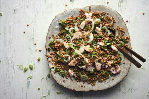 Salade de poisson aux lentilles Salade de poisson aux lentilles