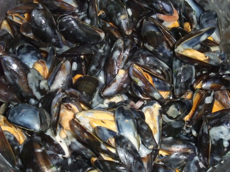 Moules à la crème : la meilleure recette