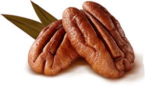 Noix de pécan Noix de pécan
