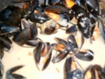 Moules à la crème Moules à la crème