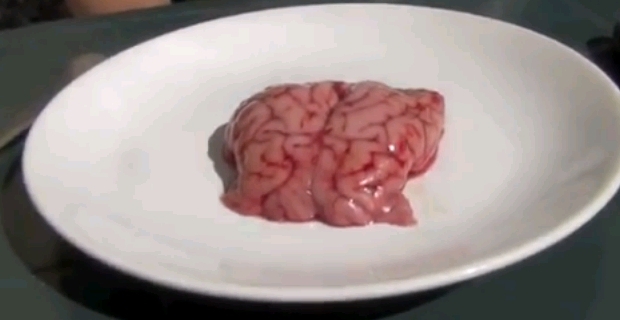Cervelles de porc