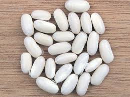 Haricots blancs conserve Haricots blancs conserve