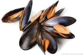 Moules Moules