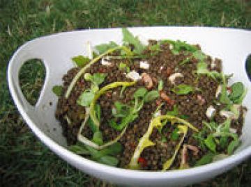 Salade de lentilles, roquette et chèvre