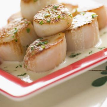 Blanquette de Saint-Jacques aux endives Blanquette de Saint-Jacques aux endives