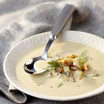 Crème d'endives à la nordique Crème d'endives à la nordique
