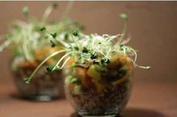 Verrine de quinoa, petite salade de surimi, mangue et graines germées. Verrine de quinoa, petite salade de surimi, mangue et graines germées.