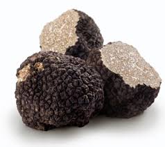 Truffe Truffe
