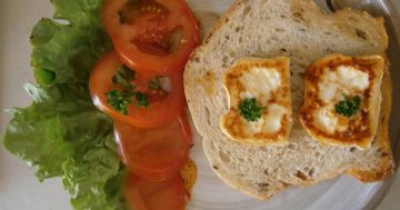 Salade de Chèvre chaud au miel sur toast Salade de Chèvre chaud au miel sur toast