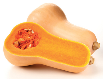 Butternuts Butternuts