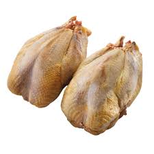 Poules faisanes Poules faisanes