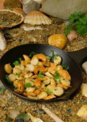 Coquilles Saint-Jacques à la provençale Coquilles Saint-Jacques à la provençale