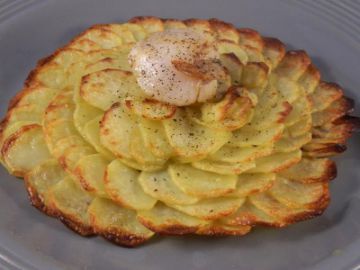 Rosace de pomme de terre et noix de saint jacques à l'huile d'olive vanillée Rosace de pomme de terre et noix de saint jacques à l'huile d'olive vanillée