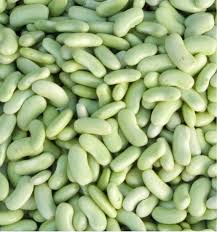 Haricots flageolets conserve
