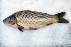 Carpes Carpes