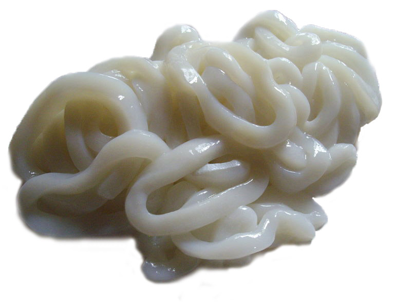 Calamars Calamars