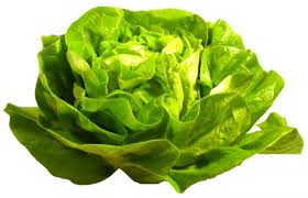 Salades Salades