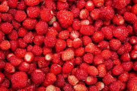 Fraises des bois