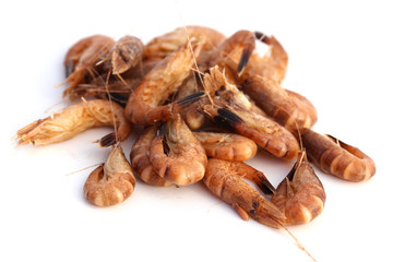 Crevettes grises Crevettes grises