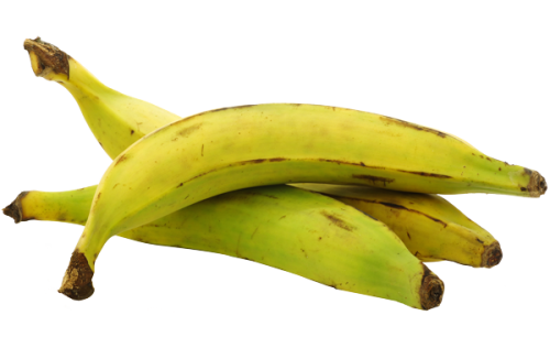Bananes plantain Bananes plantain