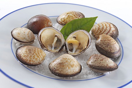 Amandes de mer Amandes de mer