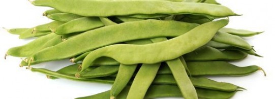 Haricots mange-tout Haricots mange-tout