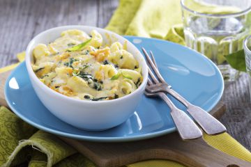 Gratin de pâtes aux blettes et béchamel Gratin de pâtes aux blettes et béchamel