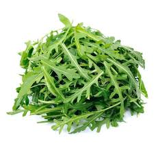 Roquette Roquette
