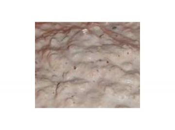 Rillettes de thon express - Thermomix Rillettes de thon express - Thermomix