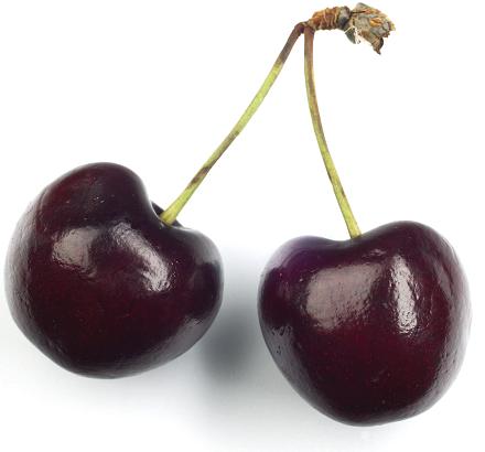 Cerises noires Cerises noires