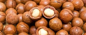 Noix de macadamia Noix de macadamia