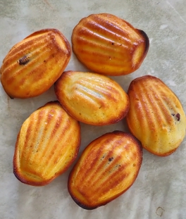 Madeleines au chocolat Madeleines au chocolat