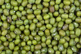 Haricots mungo Haricots mungo