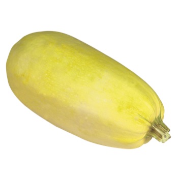 Courges spaghetti Courges spaghetti