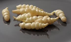 Crosnes Crosnes