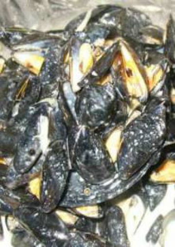 Moule à la bière Moule à la bière
