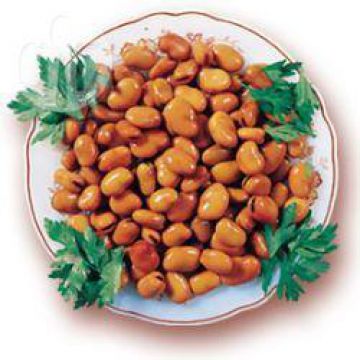 Fève à la méthode égyptienne ( Foul m'dammes) Fève à la méthode égyptienne ( Foul m'dammes)