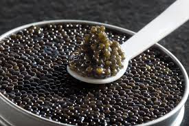 Caviars Caviars