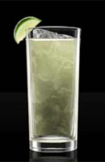 Gin Fizz Gin Fizz