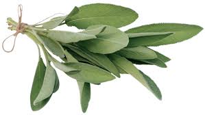 Feuilles de sauge Feuilles de sauge