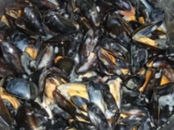 Moules à la crème et au vin blanc Moules à la crème et au vin blanc