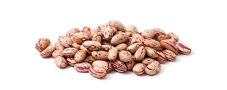 Haricots borlotti Haricots borlotti