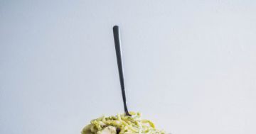 Spaghetti sauce avocat Spaghetti sauce avocat
