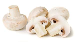 Champignons Champignons