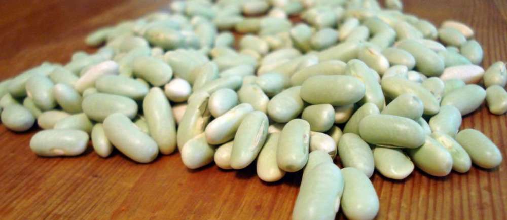 Flageolets Flageolets