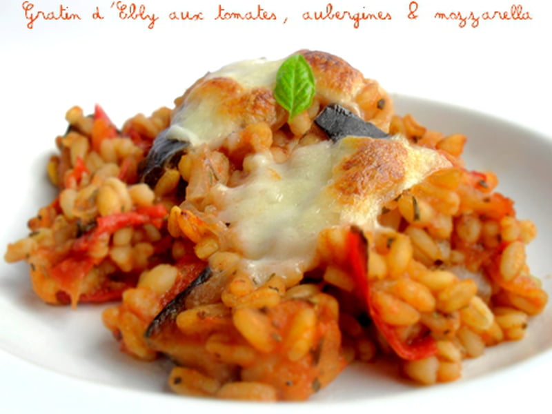 Gratin d'Ebly aux tomates, aubergines et mozzarella Gratin d'Ebly aux tomates, aubergines et mozzarella