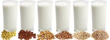 Lait végétal Lait végétal