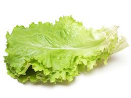 Feuilles de salade Feuilles de salade