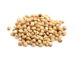Grains de coriandre Grains de coriandre