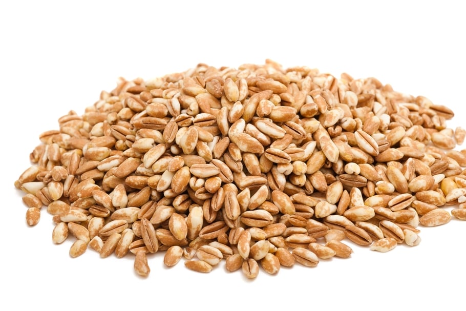 Grains d'épeautre Grains d'épeautre